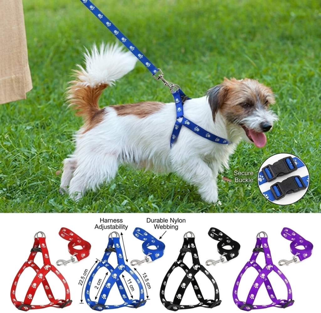 Dog & Cat Harness and Leash
